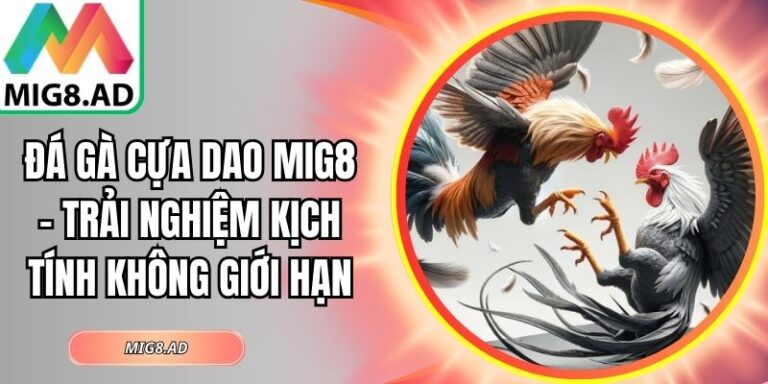 Đá Gà Cựa Dao Mig8 – Trải Nghiệm Kịch Tính Không Giới Hạn 3 Đá gà cựa dao Mig8