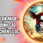 Đá gà Thái Lan Mig8