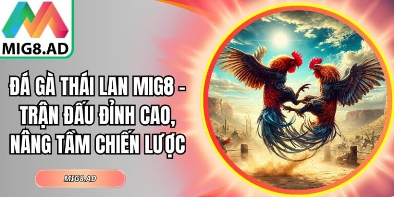 Đá Gà Thái Lan Mig8 – Trận Đấu Đỉnh Cao, Nâng Tầm Chiến Lược 2 Đá gà Thái Lan Mig8