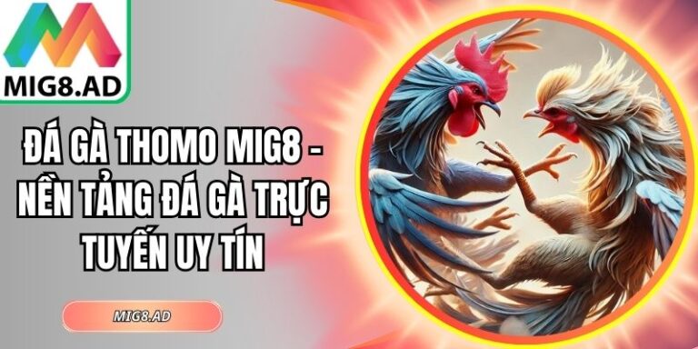 Đá Gà Thomo Mig8 – Nền Tảng Đá Gà Trực Tuyến Uy Tín 4 Đá gà Thomo Mig8