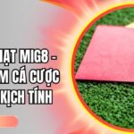 Kèo thẻ phạt Mig8